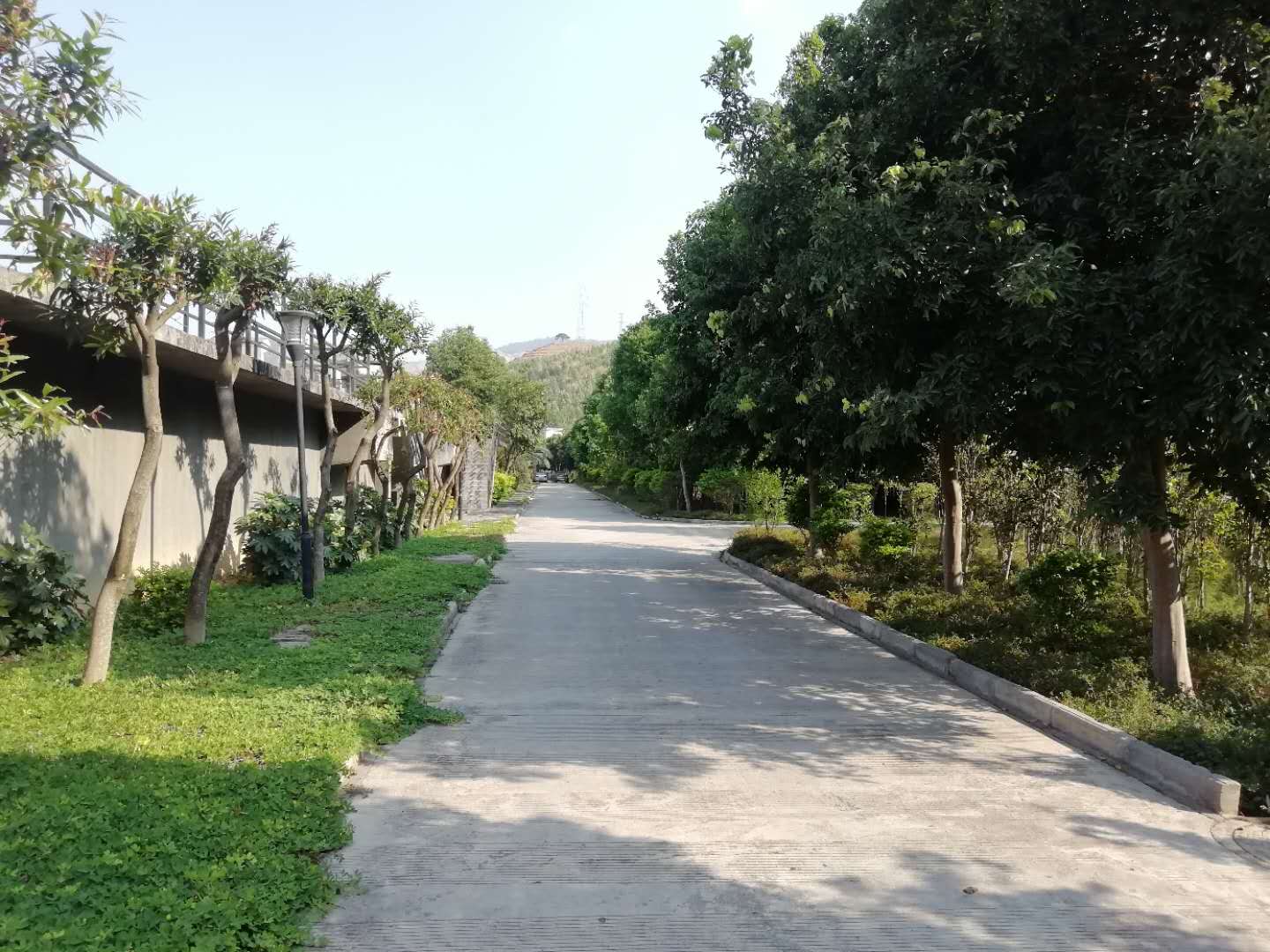 微信图片_20190429161858.jpg
