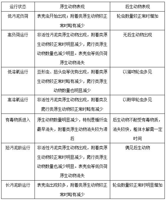 图片13.jpg