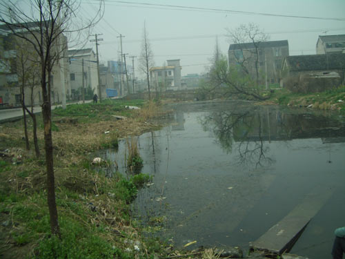 0e87873e01.jpg