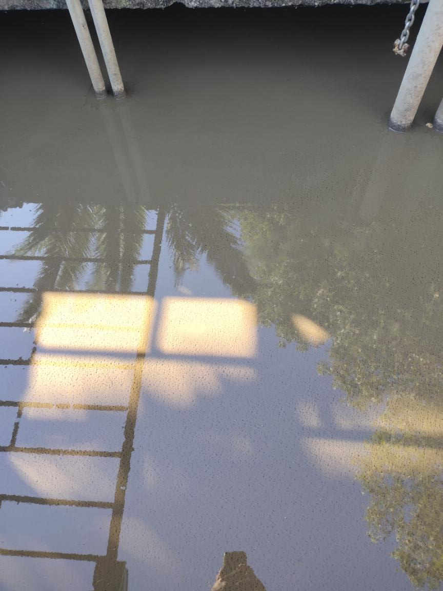 04.png